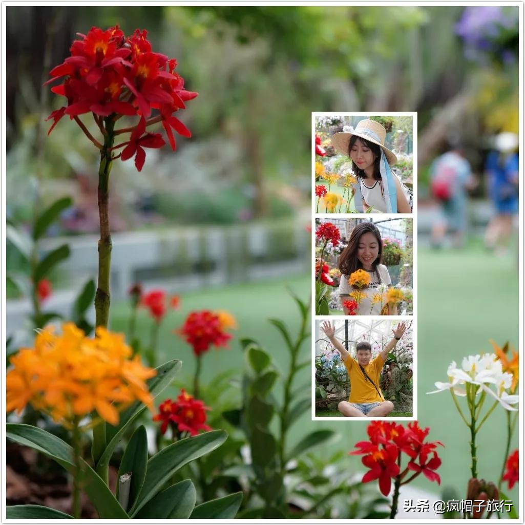 新加坡旅游住酒店攻略,去新加坡旅游住宿怎么选择