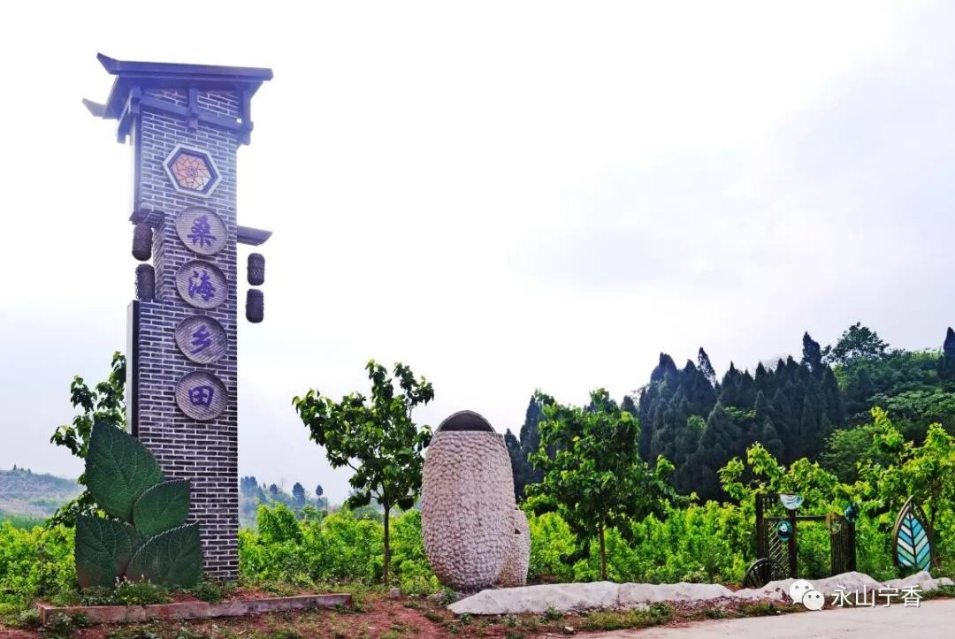 五一期间简阳有什么好玩的,简阳周边春游的好地方推荐