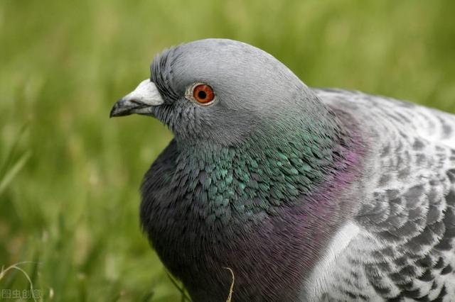 男子咳嗽半年竟被确诊为肺癌,男子咳嗽半年后确诊肺癌