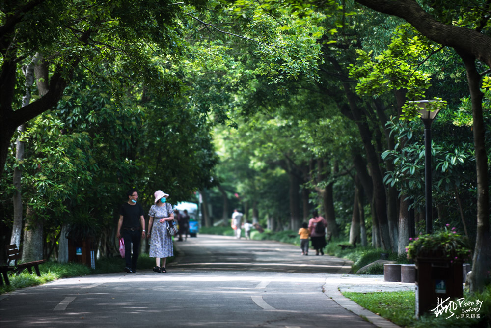 不进沙家浜景区能看到芦苇荡,深度游玩沙家浜风景区