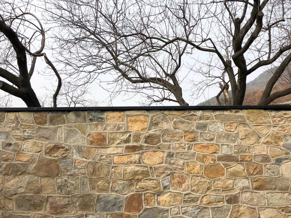 「案例」百年小村庄怎样打造成网红民宿村