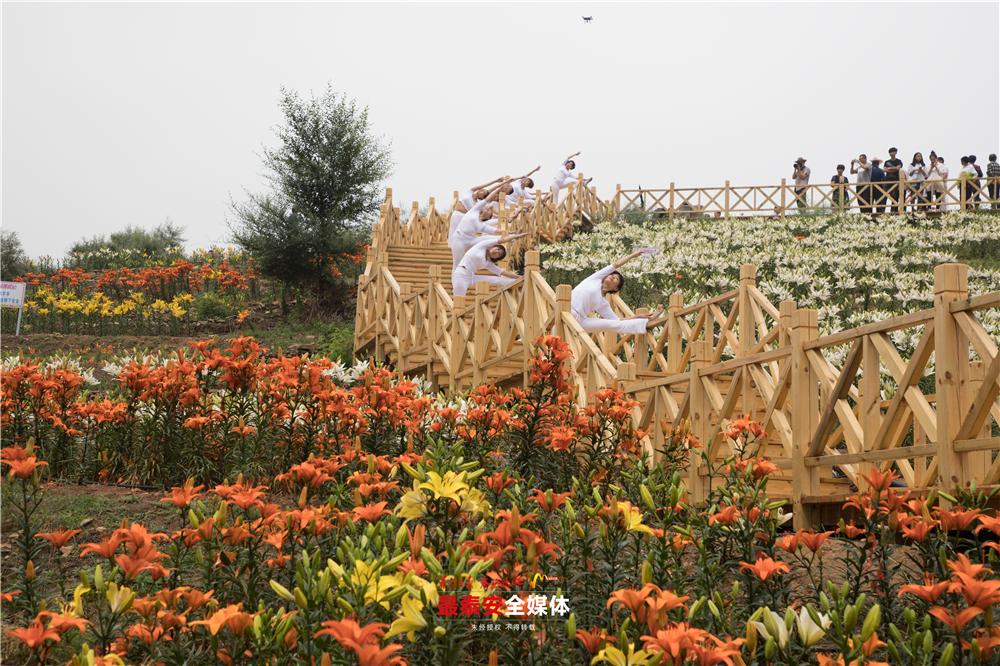 以花为媒惠美“泰山•百合和园”田园综合体花开最美乡村