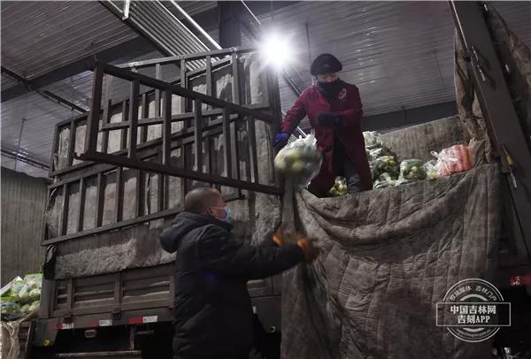 长春东北亚蔬菜批发市场最新消息,长春蔬菜批发市场陆续恢复营业