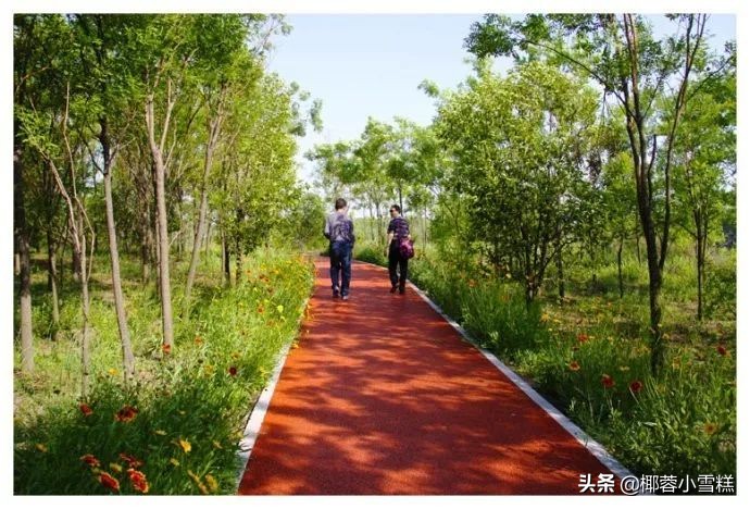 郑州适合晨跑的地方,郑州晨跑圣地