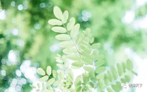 棰嗚鎬濈淮璁粌钀ユ椂闂村畨鎺掕〃,棰嗚吘澶╀笅