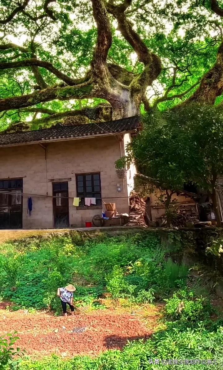 清新养眼青山绿水风景桌面壁纸,壁纸图片蓝天白云青山绿水