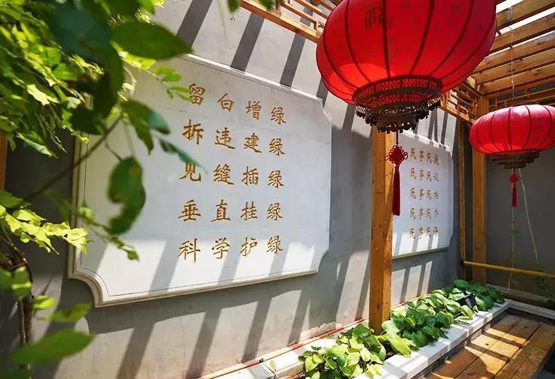 胡同里的日常生活,胡同里的北京生活