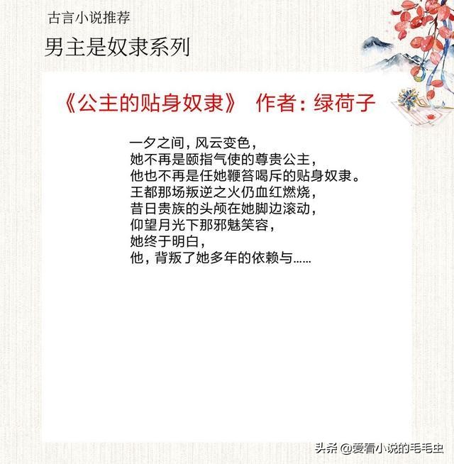 5本男主是忠犬的现言小说,男主前期为女主奴的古言