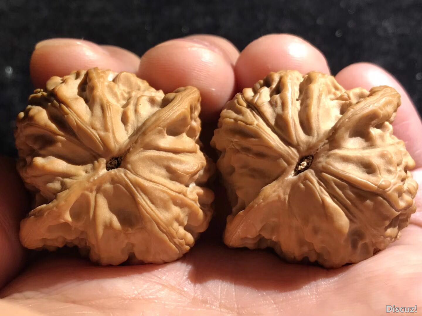 儿子把老爸的文玩核桃砸了,熊孩子弄坏文玩核桃