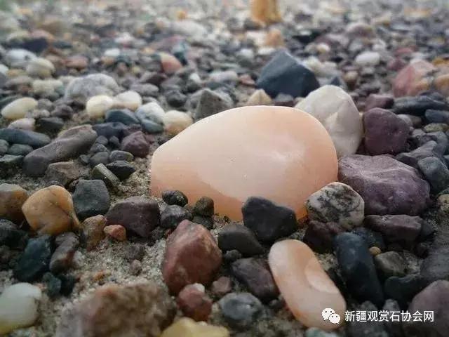 戈壁滩捡玉怎么分辨玉和石头,金丝玉三剑客戈壁滩捡金丝玉