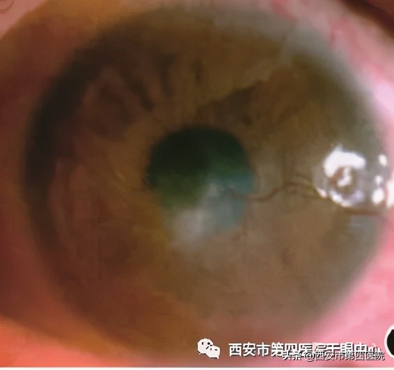 健康中国行动要应对的具体问题,健康中国行动2019-2030主要内容