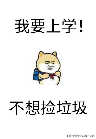 高分爽文合集,年度爽文一口气看完