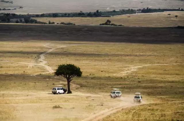 肯尼亚最值得去的地方,肯尼亚最值得去的二十个地方