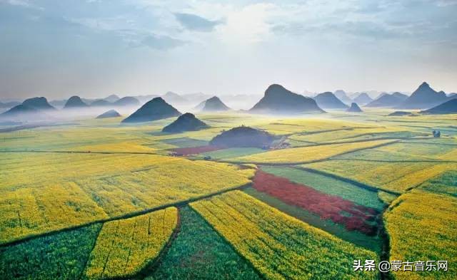 新歌推荐|乌兰娜《童年的油菜花》油菜花开正当时不负*光春**不负己