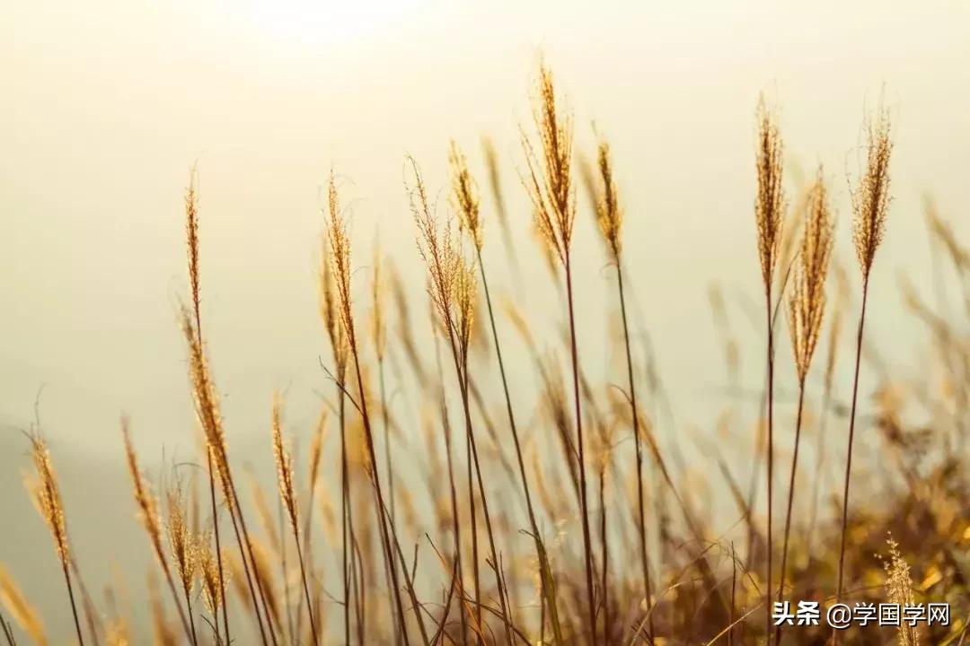 令人惊艳的十首古诗,100首顶级绝美古诗词名句及解释