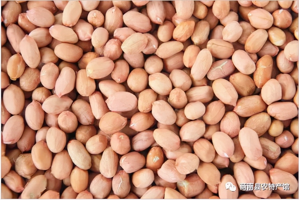 商南特产有哪些,商南县生花生