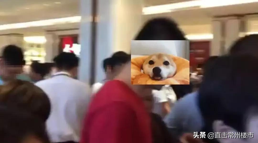 常州单价不超一万二的在售楼盘,常州在售138平的新盘