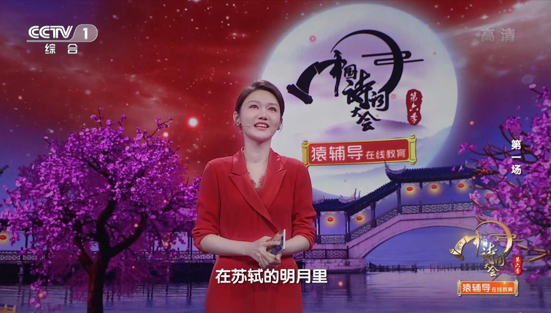 康震老师诗词大会开场白,诗词大会第三季康震开场白