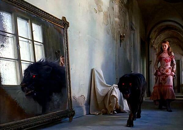 买狗千万别说这4句话,买狗选胆小的还是胆大的