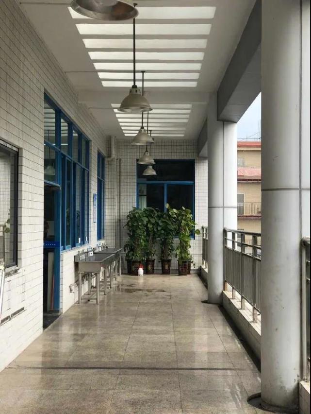 “喜欢绫波丽的男人脆弱还有恋母情结？”哈哈哈哈哈什么沙雕剧啊