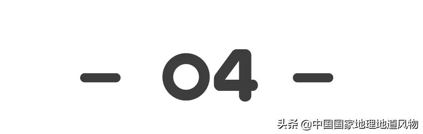 济南把子肉和干饭的区别,正宗的干饭把子肉