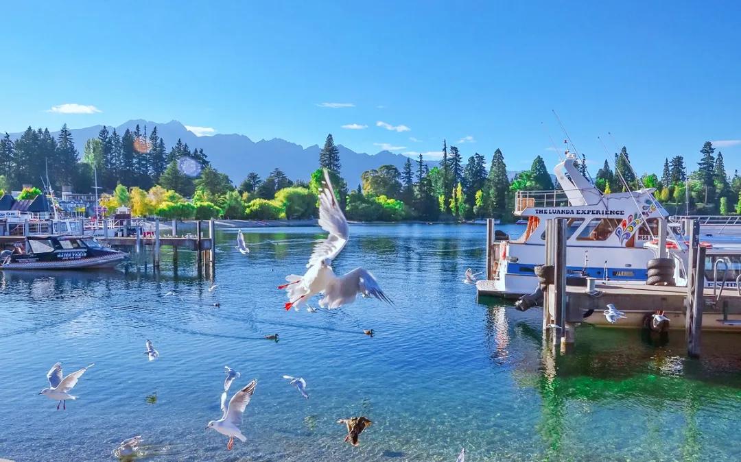 引爆体育,引爆体育魅力