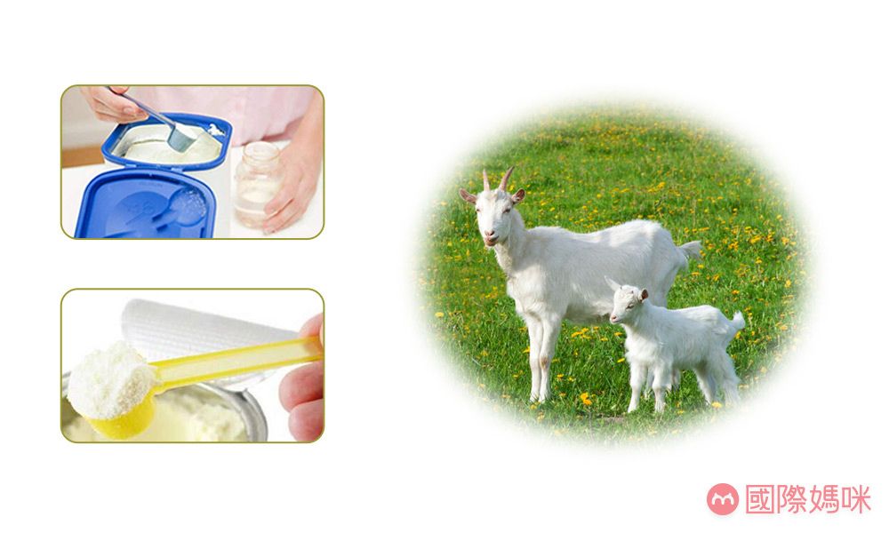 最好的十大羊奶粉品牌排名前十,十大公认最好的羊奶粉品牌