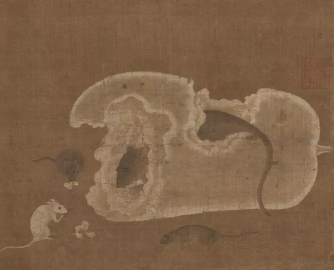 小白鼠很接近人类,我们对老鼠的认知