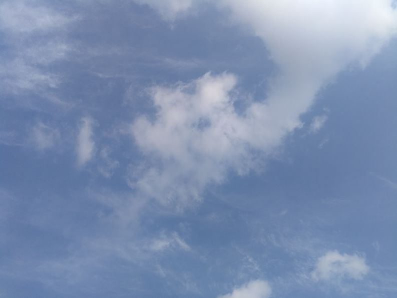 散文一缕墨香一丝牵挂,散文一朵丁香花