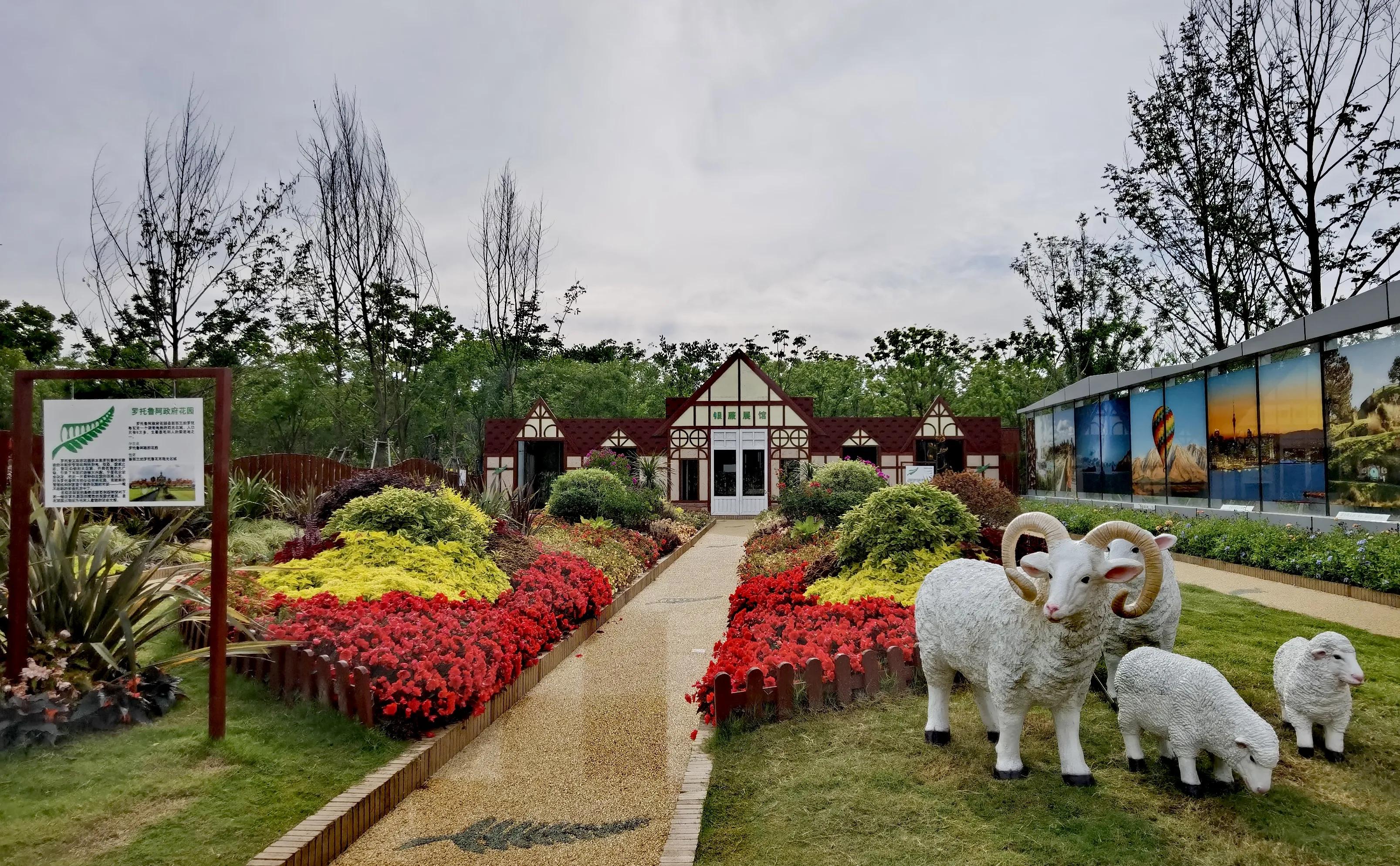 关于崇明花博会,崇明花博会全程花景