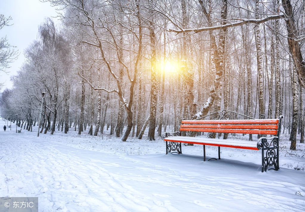 租房离公司近还是离男朋友近,租房离公司近还是离商圈近