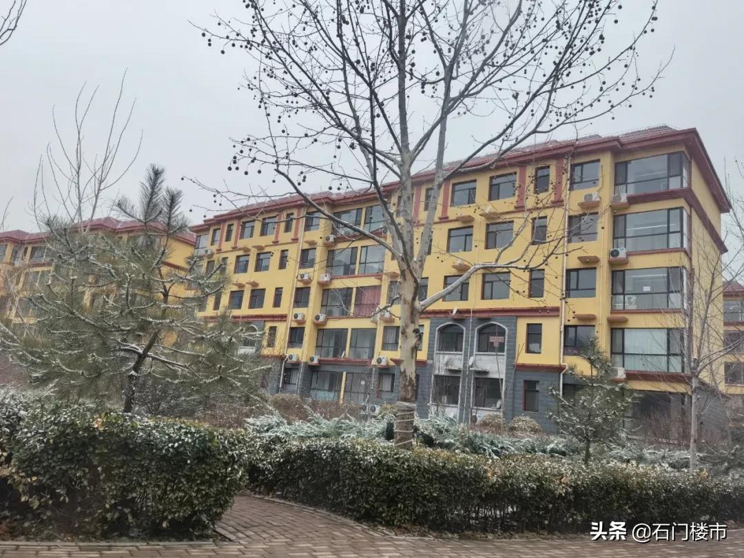 实探现场,实探日本果园