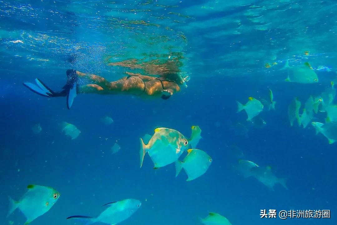 塞舌尔旅行体验,塞舌尔海岛游记