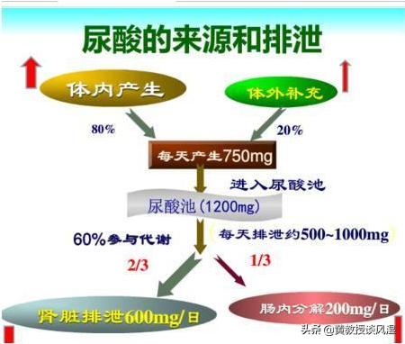老李尿酸高吃素多年却痛风肾，医生：我写一份指南给你请查收