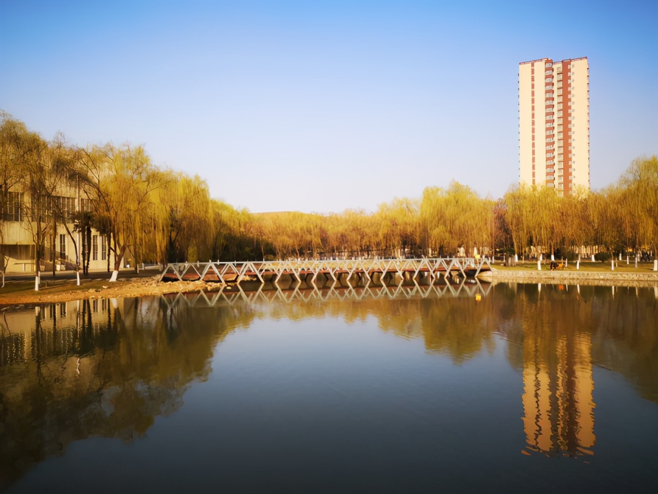 陕西女神学霸火了！大学就当班主任，将赴交大深造，包揽各类大奖