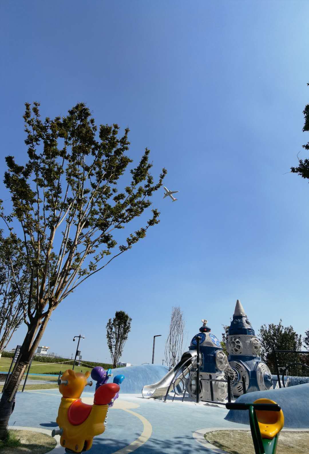 双流空港花田看飞机降落最佳地点,双流空港花田最佳位置看飞机