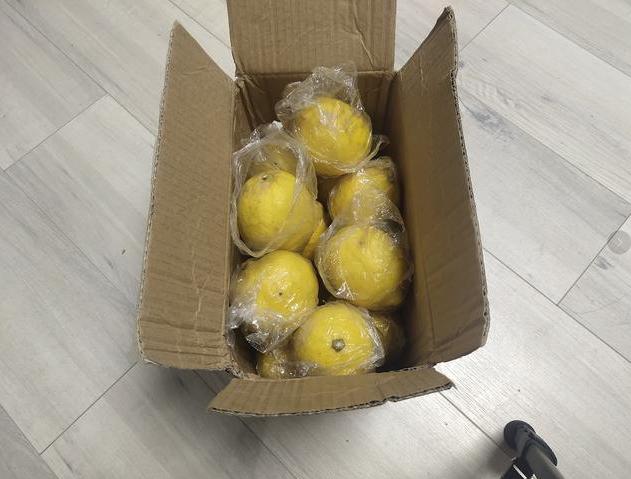 天猫农场免费水果试玩,天猫农场1分钱的水果