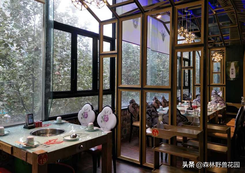 开一家火锅店需要做哪些准备,开一家小火锅店的流程