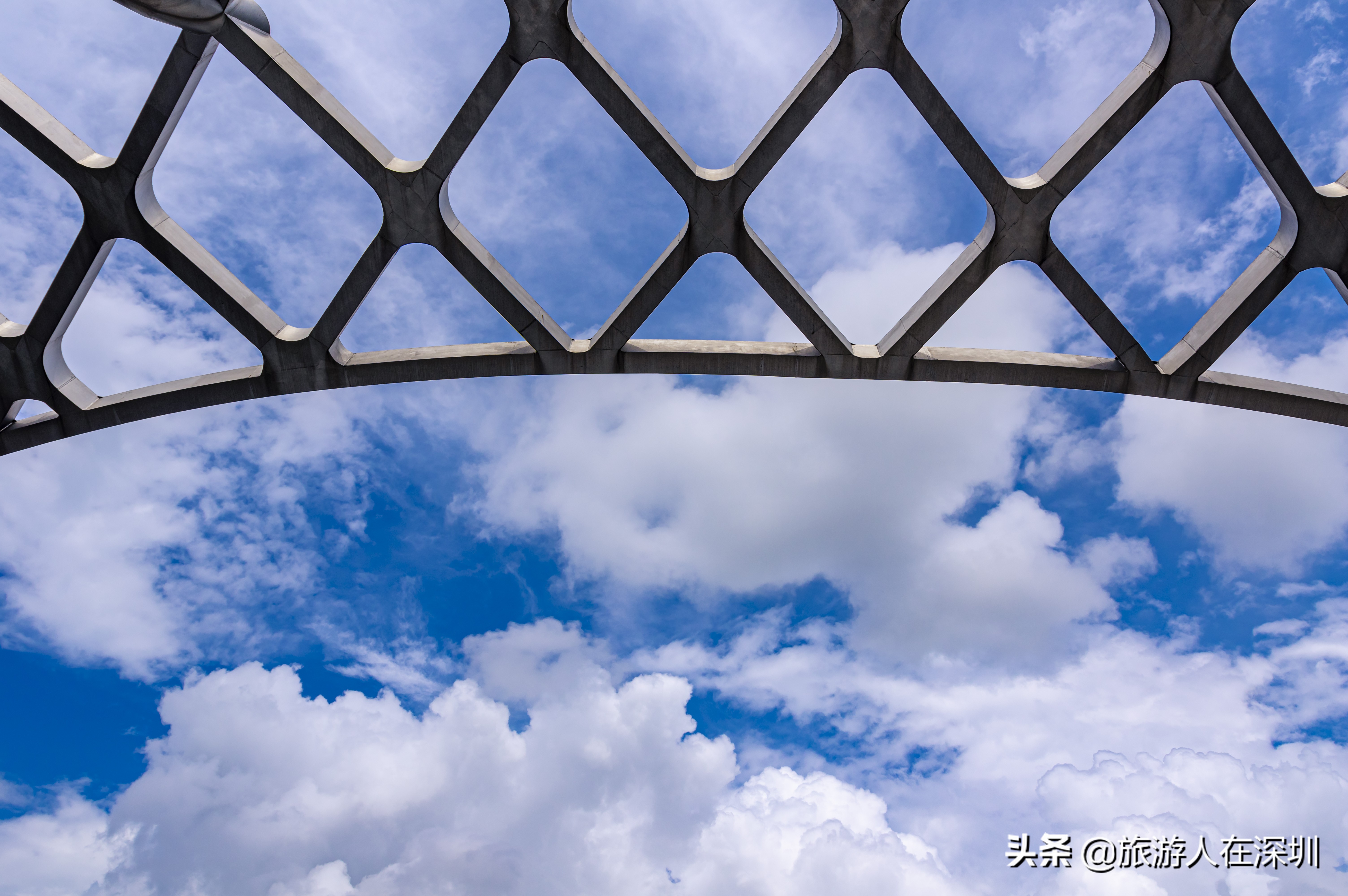 深圳湾体育中心平面图,深圳湾体育中心像什么