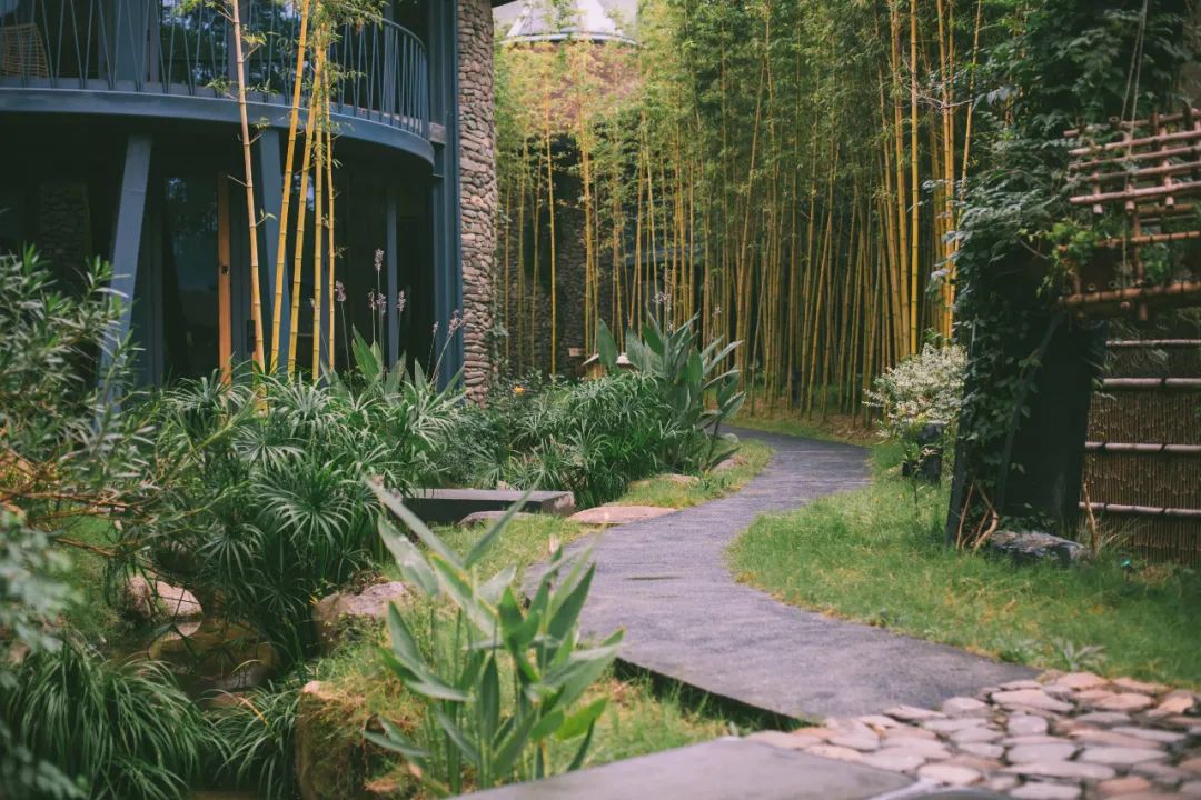 巴厘岛绿野仙踪,巴厘岛住进星空顶梦幻蘑菇屋