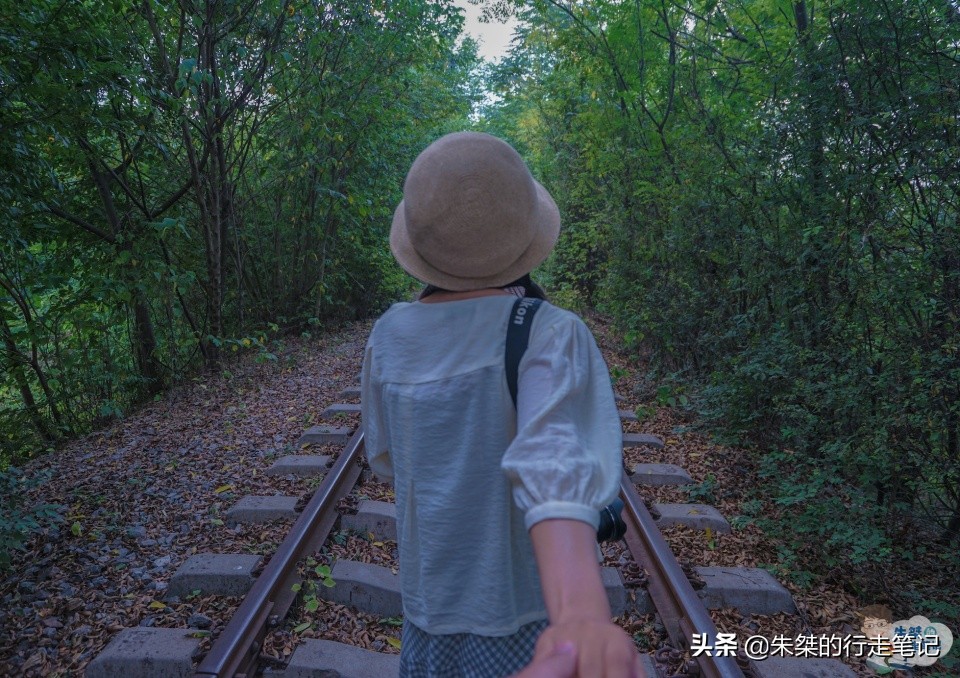 春节一日游景点推荐合肥市,合肥春节周边旅游推荐