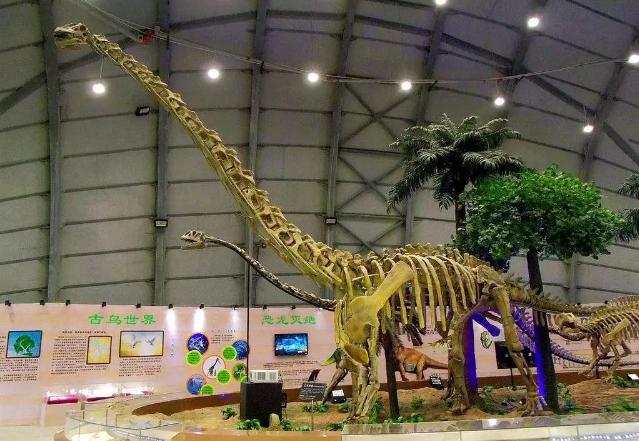 中国恐龙种类有哪些,中国恐龙多少种类