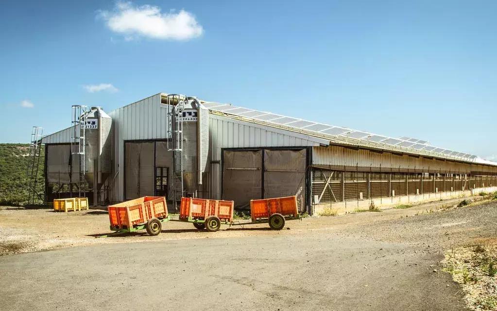 当古老文明与现代艺术相遇，我看见了不一样的中东