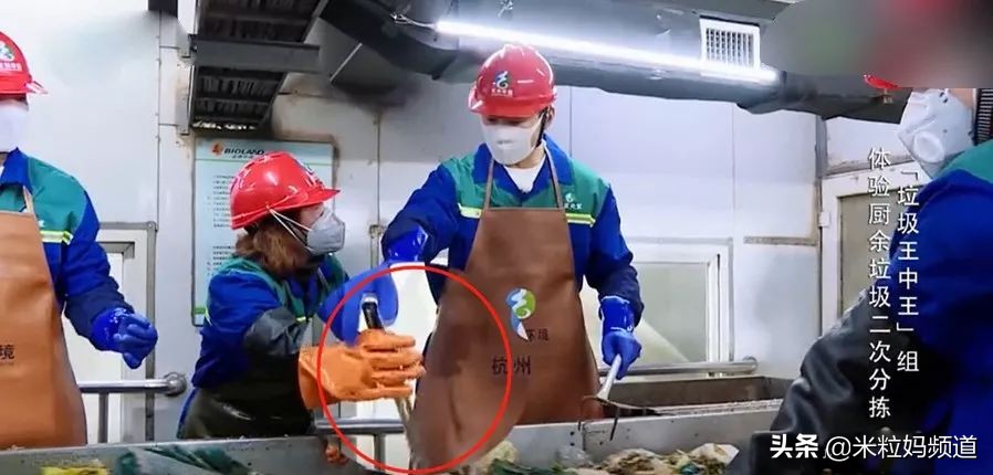 全国人看上海,大家都在关注垃圾分类