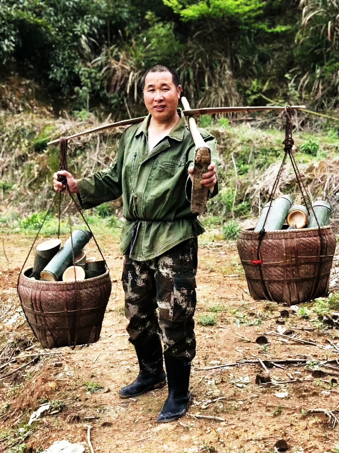 润之竹竹筒酒正宗竹叶青,竹叶青酒竹筒酒怎么制作的