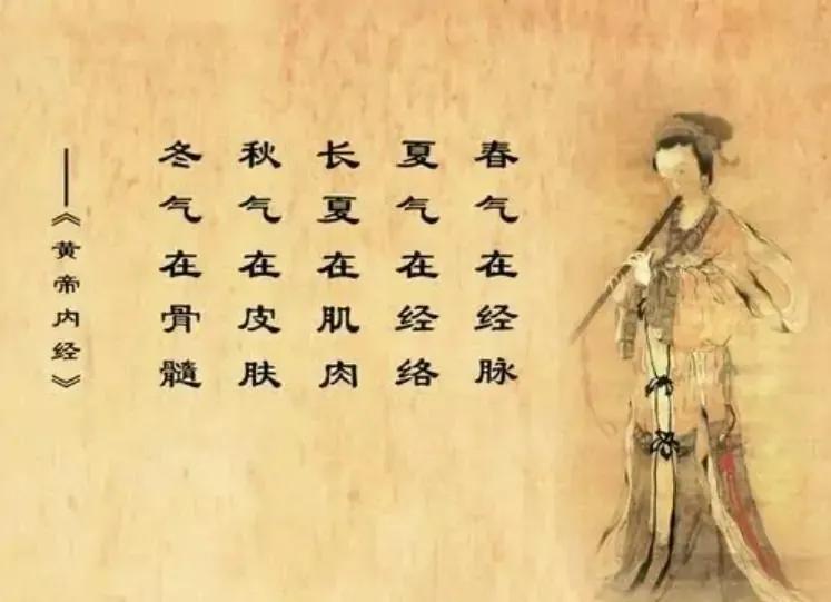 养脾胃的最好饮食方式是少吃,少吃点就能养脾胃吗