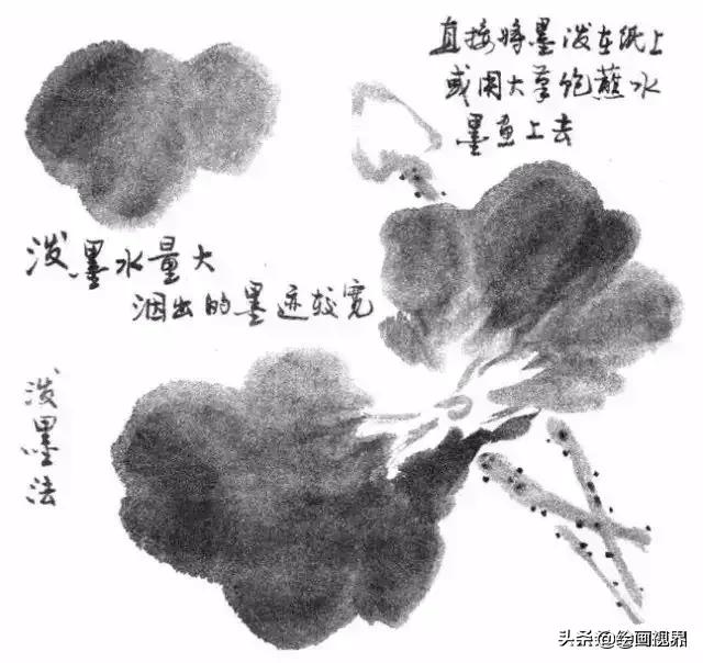 国画没有书法基础,国画没有基础最好先学哪些入手