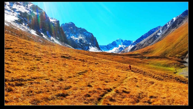 带上UL从狼塔C回家