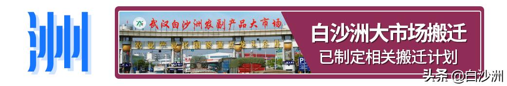 白沙洲大市场在哪里,白沙洲江南汽车交易市场