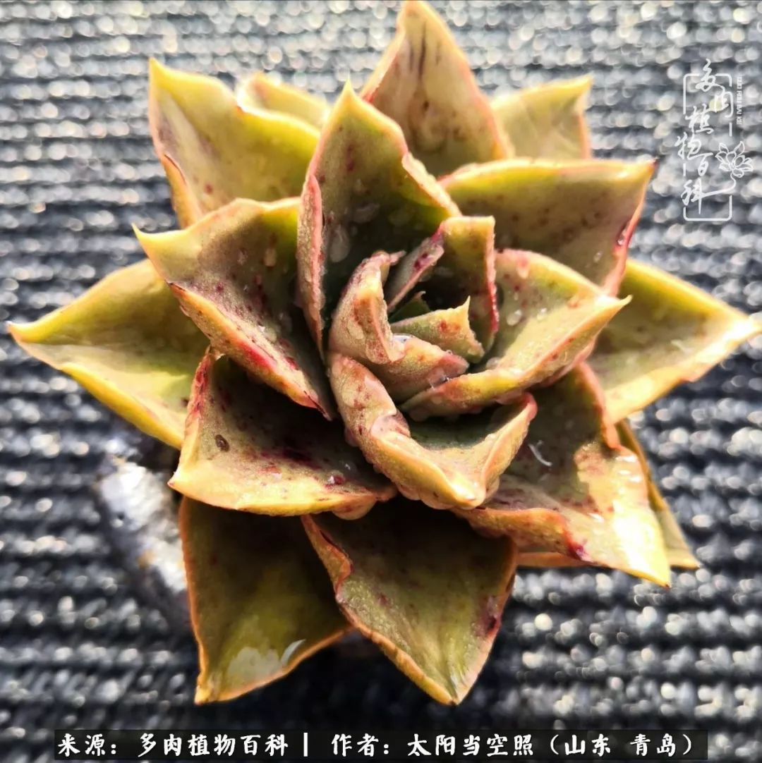 离家在外才发现最难忘的是故乡情,离家在外看见家乡的东西